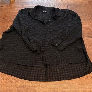Zara sheer button down